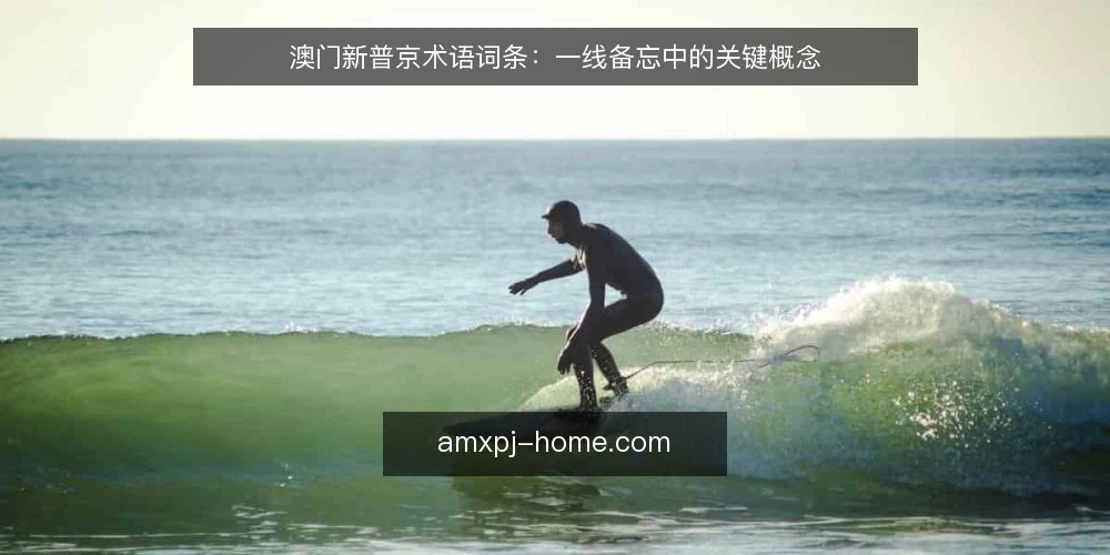 澳门新普京术语词条：一线备忘中的关键概念 — 信号观察要点 配图