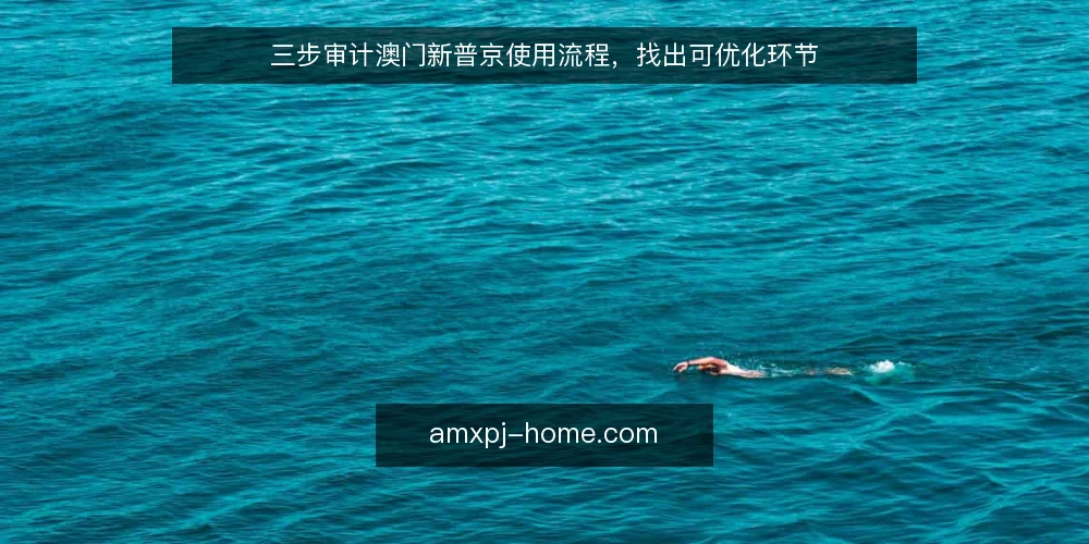 三步审计澳门新普京使用流程，找出可优化环节 — 为什么现在要审计澳门新普京流程 配图
