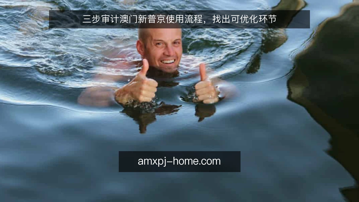 三步审计澳门新普京使用流程，找出可优化环节