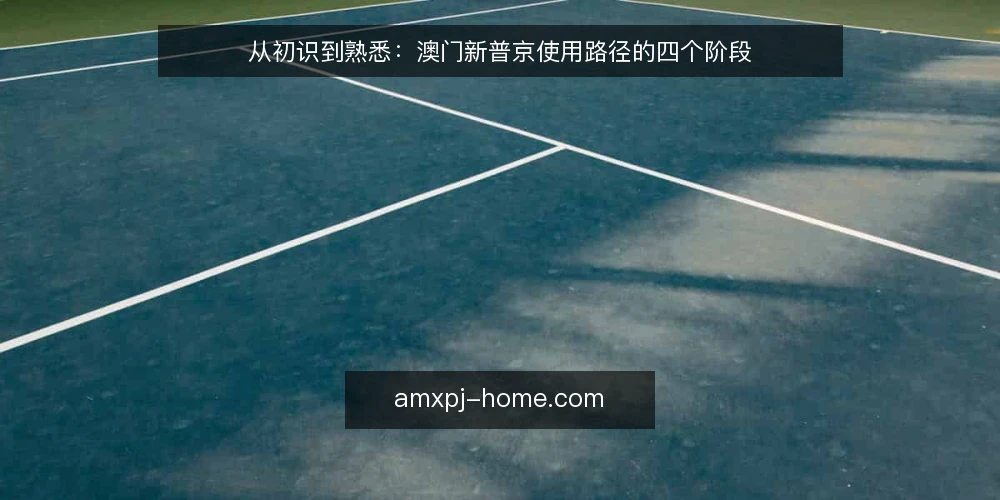 从初识到熟悉：澳门新普京使用路径的四个阶段 — 场景起点：从搜索到初识 配图