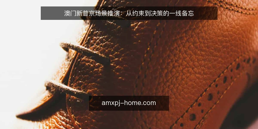 澳门新普京场景推演：从约束到决策的一线备忘 — 观察信号：什么值得盯 配图