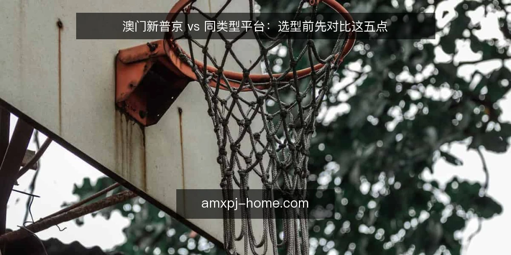 澳门新普京 vs 同类型平台：选型前先对比这五点 — 引言：选型不是看名气，而是看匹配度 配图