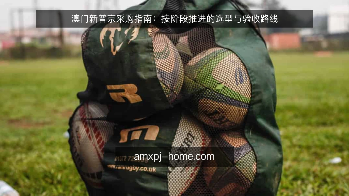 澳门新普京采购指南：按阶段推进的选型与验收路线